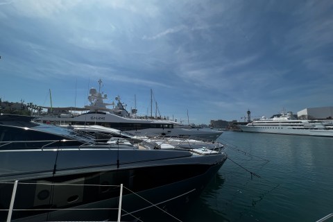 Martina Asmus's photo from the onboard visit