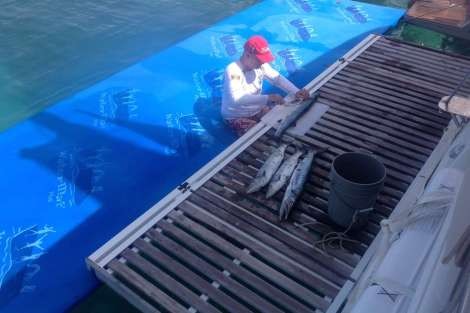 Review img # 21 of the yacht BAGHEERA L620