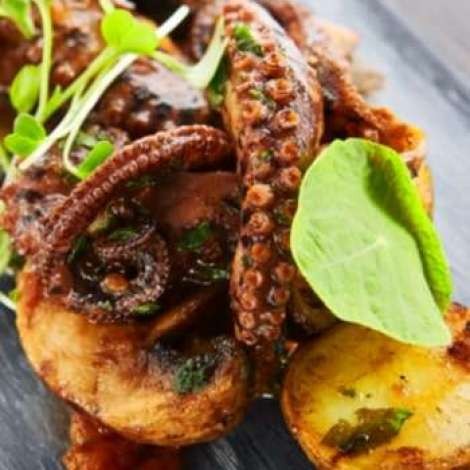 Food onboard NAVILUX # 3