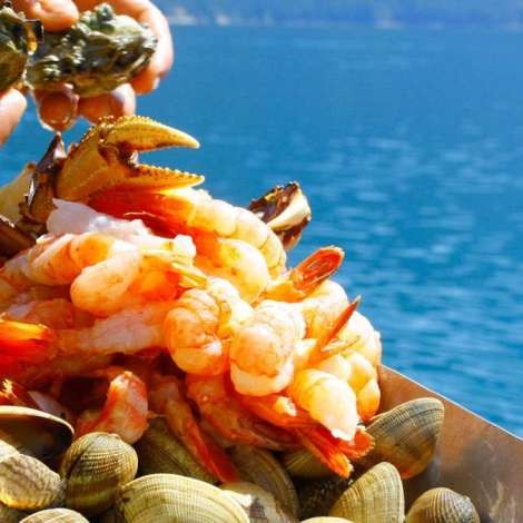 Food onboard PACIFIC YELLOWFIN # 2